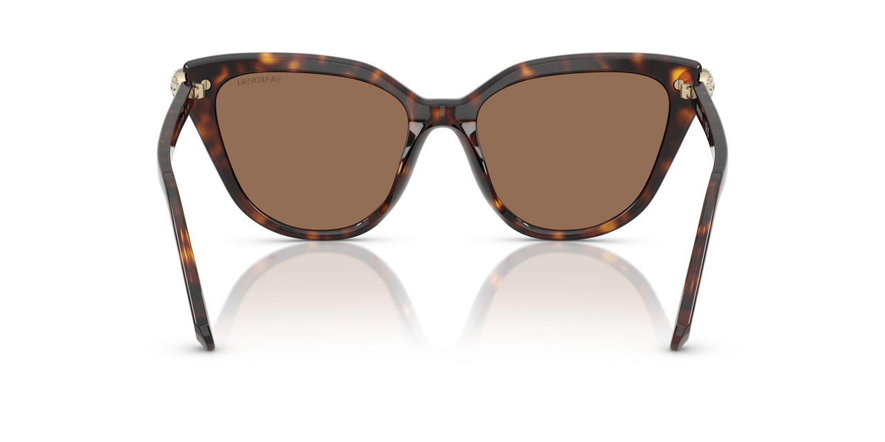 100273 - Tortoise - Dark Brown