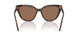 100273 - Tortoise - Dark Brown