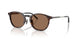 300273 - Tortoise - Brown Solid