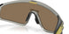 940424 - Grey - Prizm 24k