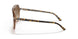 129251 - Havana - Clear Gradient Brown