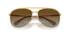 4004T5 - Gold - Polar Gradient Brown