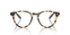 5004 - Shiny Tortoise Brown