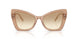 343213 - Brown - Clear Gradient Light Brown