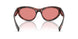 347684 - Tortoise - Pink