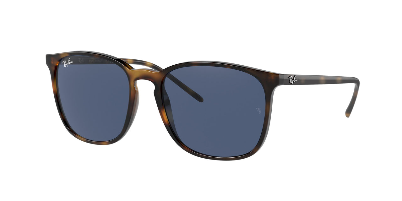 Ray-Ban 4387 Sunglasses