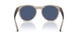 303080 - Brown - Dark Blue