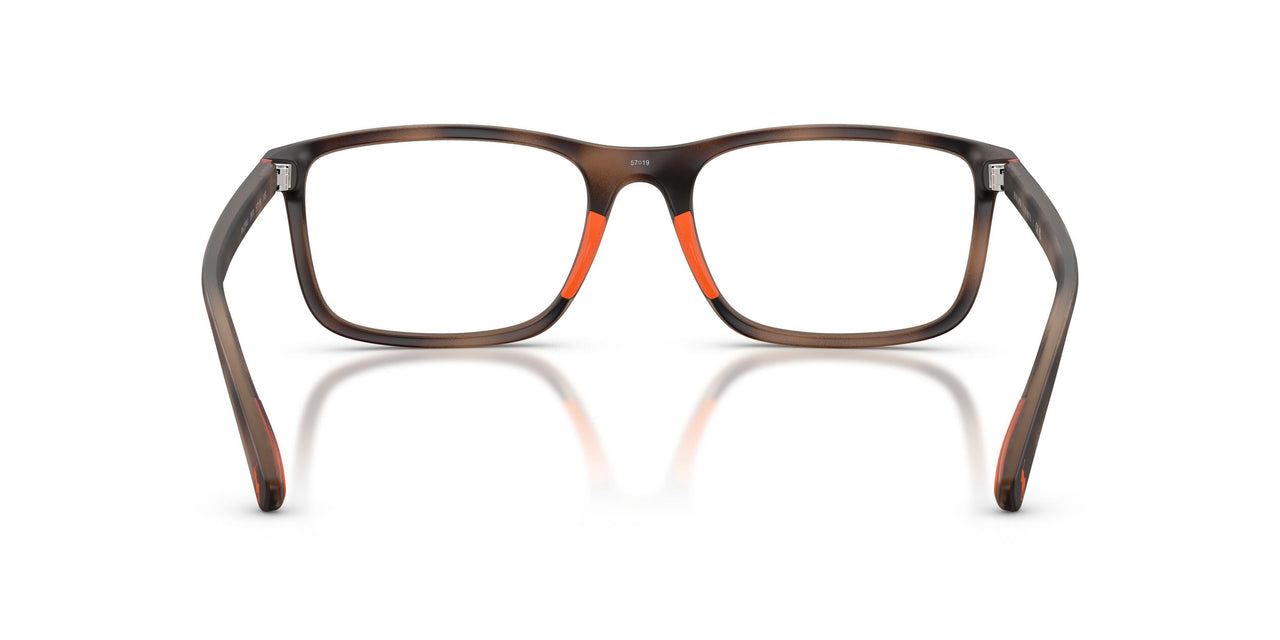 5974 - Tortoise