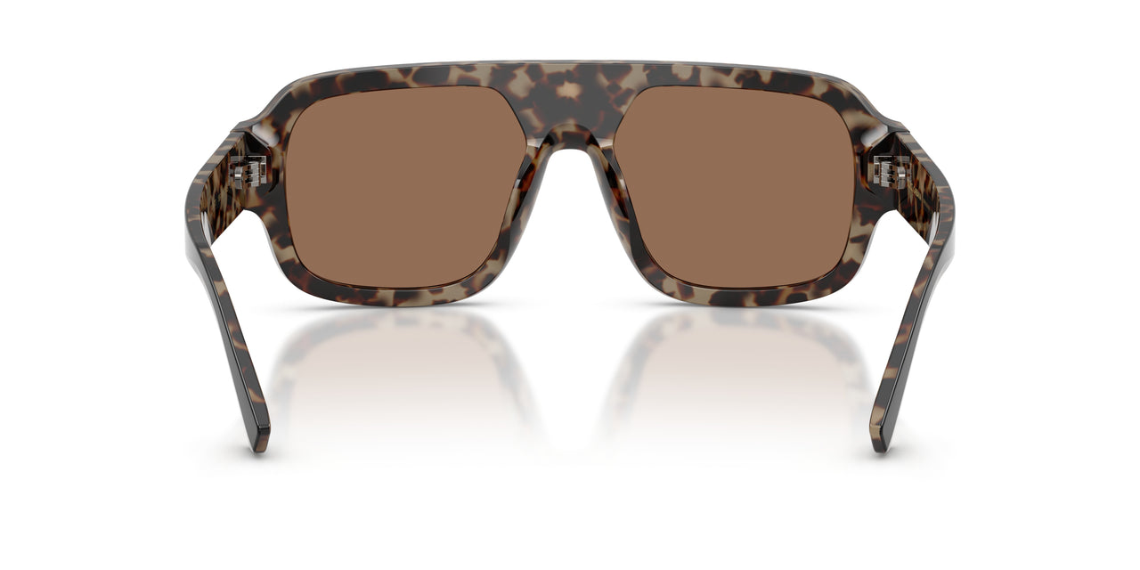 341773 - Black - Dark Brown