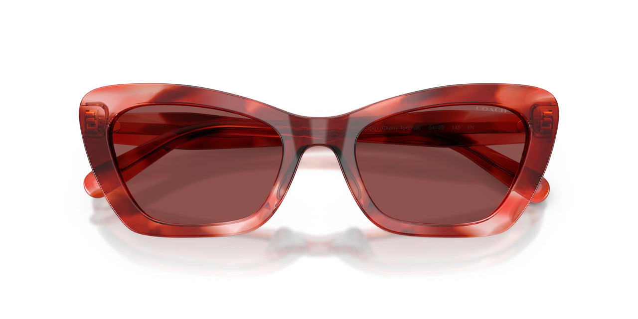 594075 - Red - Wine Solid