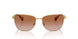 946513 - Gold - Gradient Brown