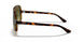 710/A6 - Havana - Green Gradient Brown