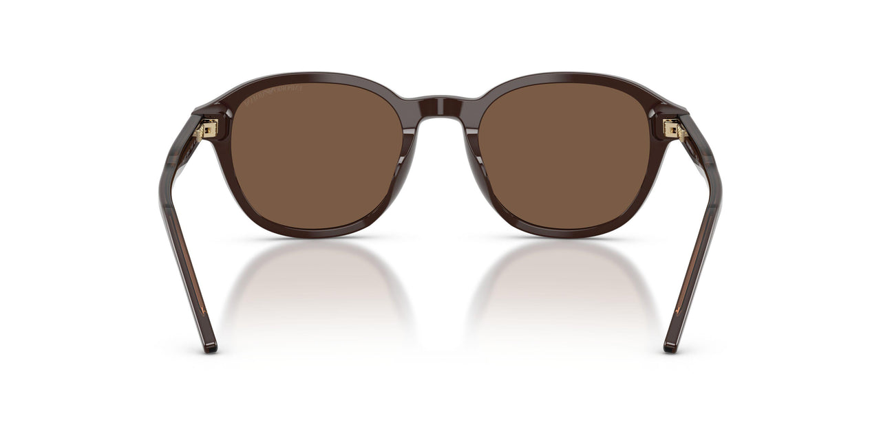 625573 - Brown - Brown