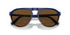 117857 - Multi - Brown Polar