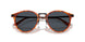 6404R5 - Brown - Blue