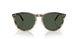 31869A - Tortoise - Dark Green Polar