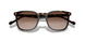 W65613 - Havana - Brown Gradient