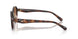 512013 - Tortoise - Brown Gradient