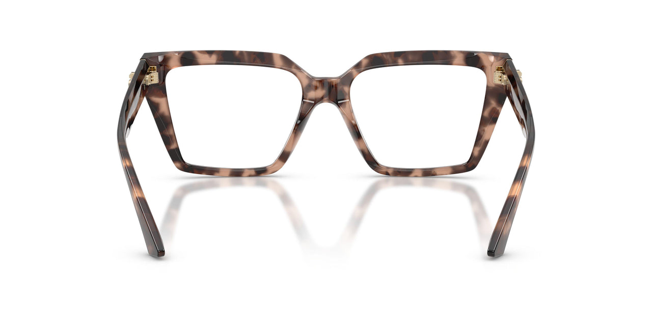 5070 - Tortoise
