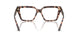 5070 - Tortoise