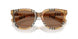 416373 - Brown - Dark Brown
