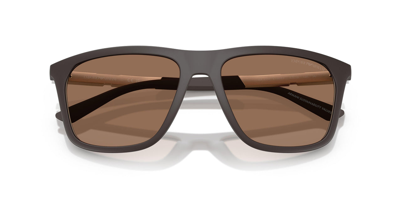 6186EF - Brown - Dark Brown Mirror Gold