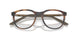 802805 - Tortoise