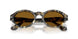 107133 - Tortoise - Brown