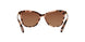 1463T5 - Havana - Brown Gradient Polarized