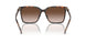 300613 - Tortoise - Brown Gradient