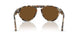 122157 - Multicolor - Brown Polar