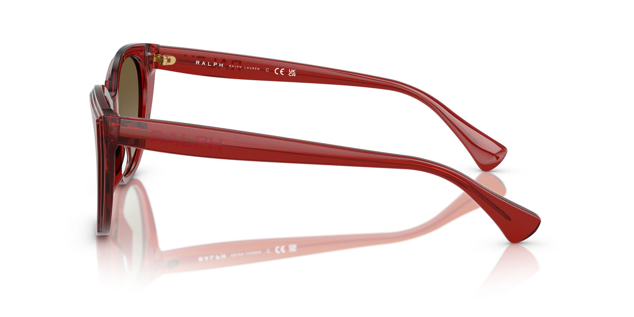 621013 - Violet - Gradient Brown