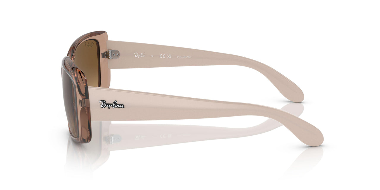 6644M2 - Light Brown - Brown Gradient Polar