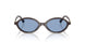 22C60O - Brown - Light Blue