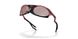 943716 - Red - Prizm Snow Black Iridium