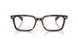 2012 - Tortoise
