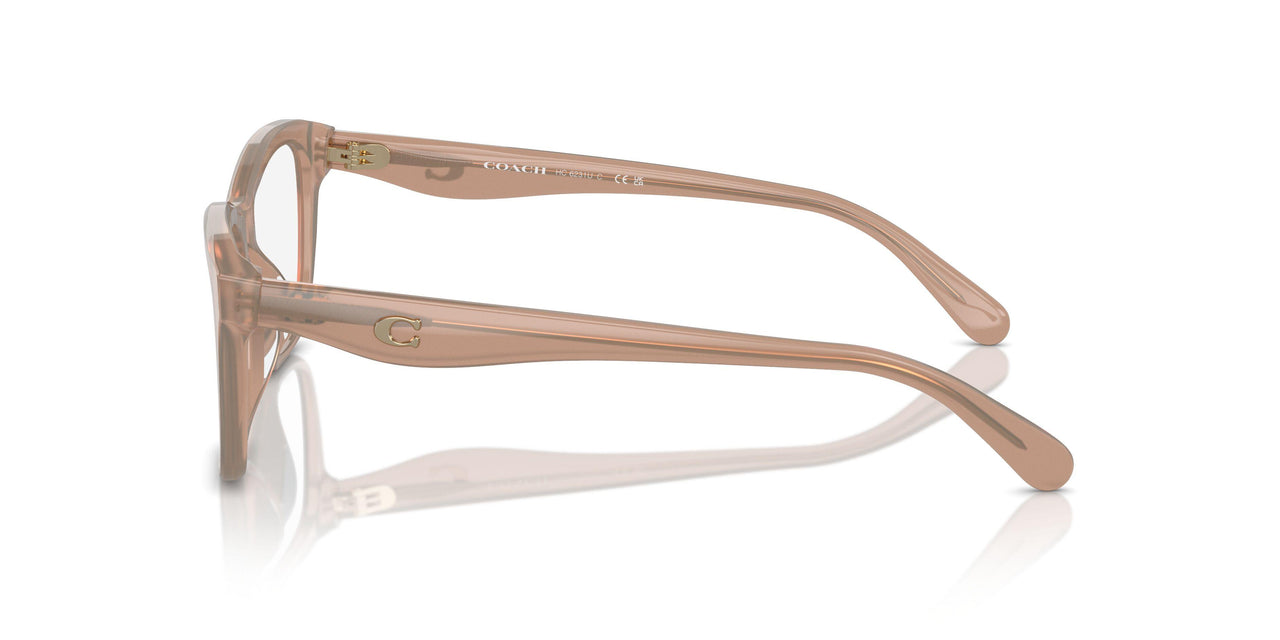 5808 - Brown