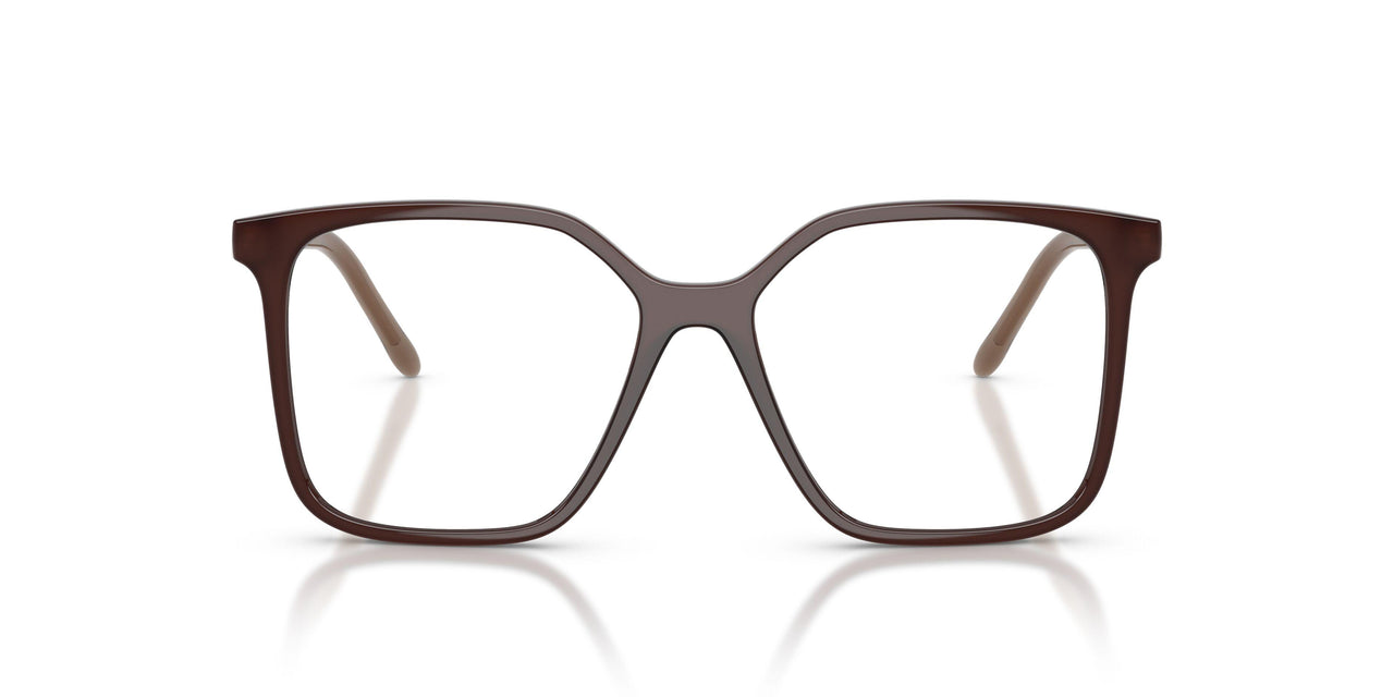 8396 - Brown
