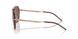 301173 - Gold - Dark Brown