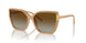 1965T5 - Brown - Brown Polarized