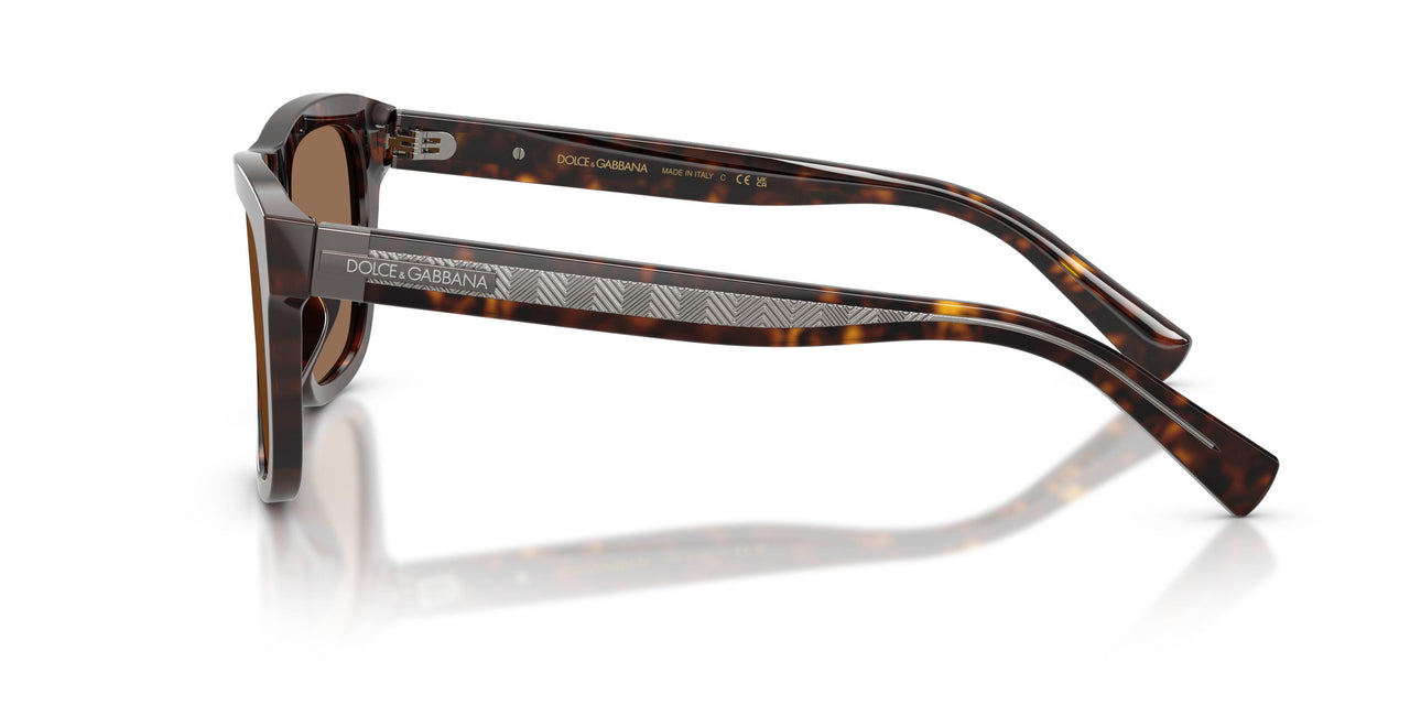 502/73 - Tortoise - Dark Brown