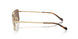 848/73 - Gold - Dark Brown
