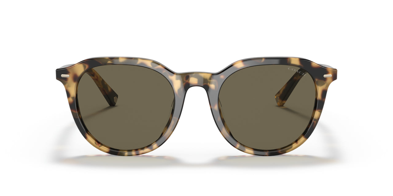 51713 - Havana - Dark Brown Solid