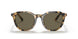 51713 - Havana - Dark Brown Solid