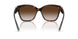 80153B - Tortoise - Brown Gradient
