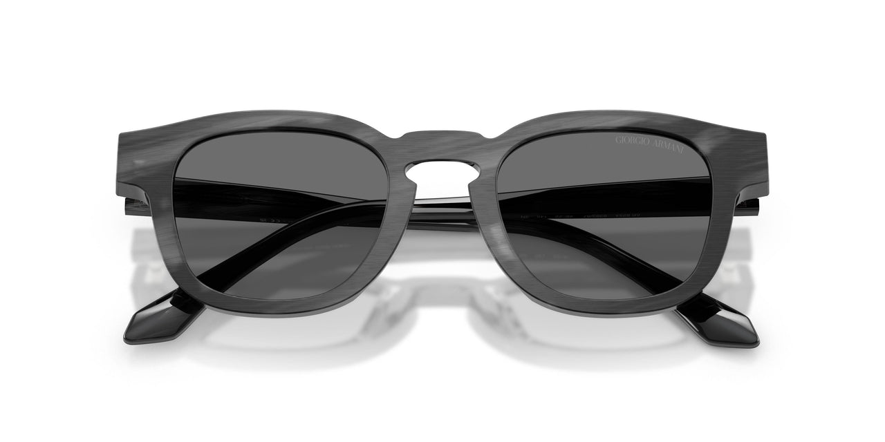 639387 - Tortoise - Grey