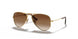 223/13 - Gold - Brown Gradient