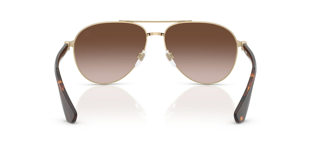 110913 - Gold - Brown Gradient