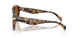 393073 - Tortoise - Amber