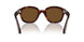 24/57 - Tortoise - Polarized Brown